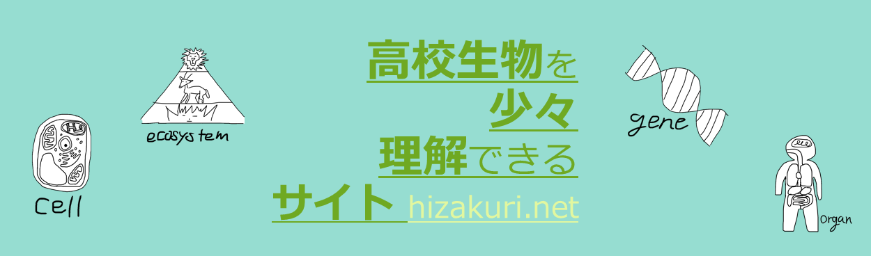 高校生物を少し理解できるサイト